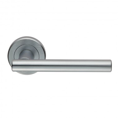 Philadelphia - Lever on rose